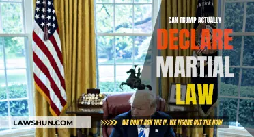 Martial Law: Can Trump Pull It Off?