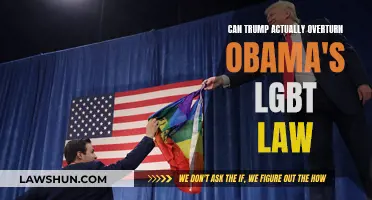 Trump's Power: Can He Overturn Obama's LGBT Law?
