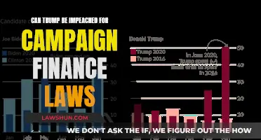 Trump's Impeachment: Campaign Finance Laws Violated?
