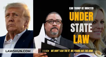 Trump's Legal Woes: State Law Indictment Possible?