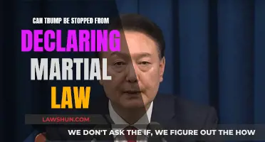 Martial Law: Can Trump Be Stopped?