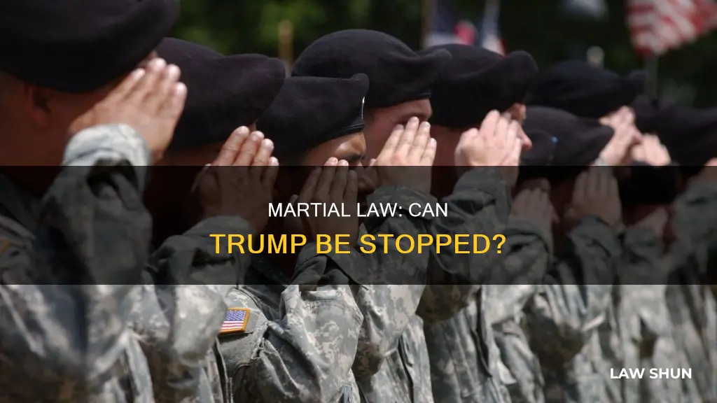 can trump be stopped from declaring martial law