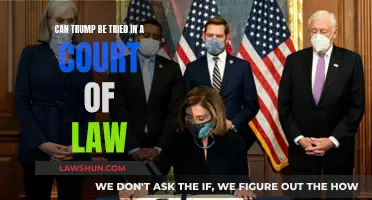 Trump's Legal Woes: Can He Be Tried?