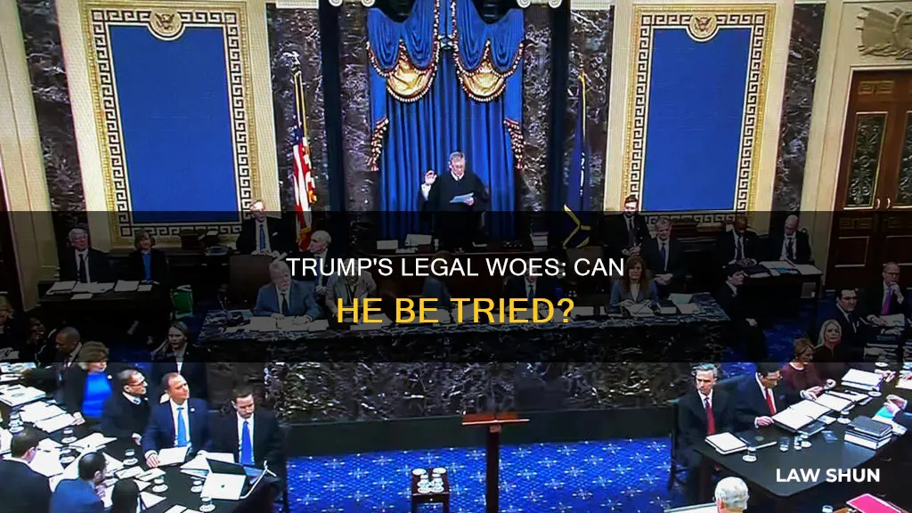 can trump be tried in a court of law