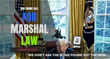 Trump's Martial Law: What's the Legal Verdict?
