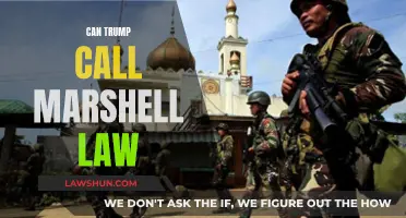 Trump's Martial Law: Can He Declare It?