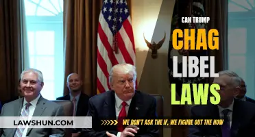 Trump's Libel Law Challenge: Free Speech or Fake News?