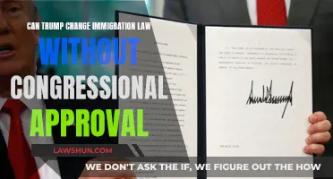 Trump's Immigration Law: Power Play or Overreach?
