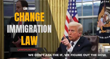 Trump's Immigration Law: Change or Stay the Same?