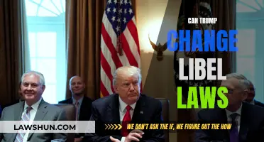 Trump's Libel Law Change: Feasible or Farce?