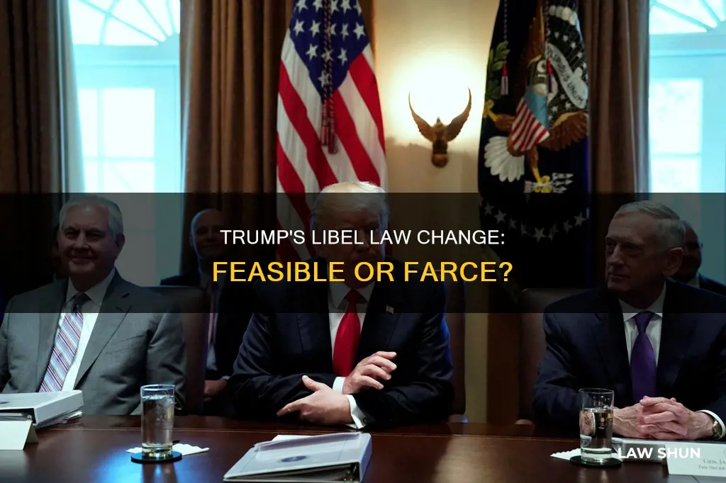 can trump change libel laws