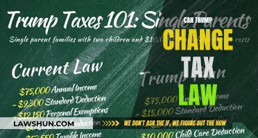 Trump's Tax Law Changes: What's the Plan?