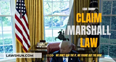 Trump's Martial Law Claims: Valid or Farce?