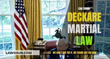 Trump's Martial Law: A Real Possibility?