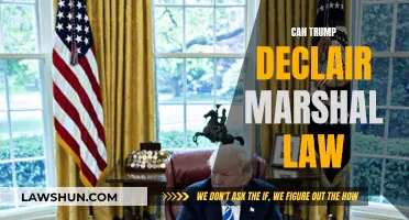 Trump's Martial Law: Is It Possible?
