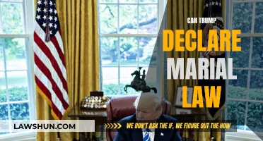 Martial Law: Can Trump Declare It?