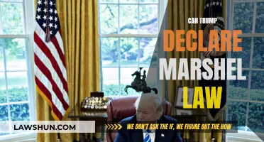 Trump's Martial Law: Is It Possible?