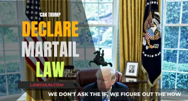 Martial Law: Can Trump Legally Impose It?