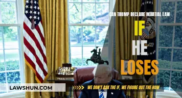 Martial Law: Can Trump Declare It If He Loses?