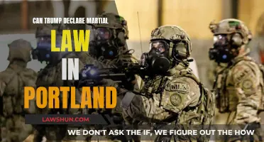 Martial Law in Portland: Trump's Power Play?