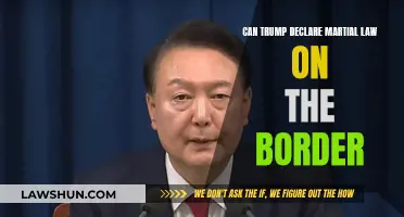 Martial Law: Can Trump Enact It at the Border?