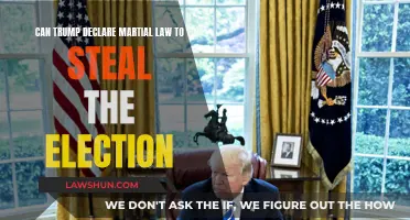 Martial Law: Trump's Election Ploy?