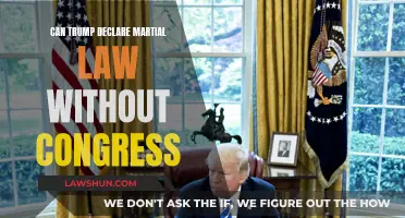 Martial Law: Can Trump Circumvent Congress?