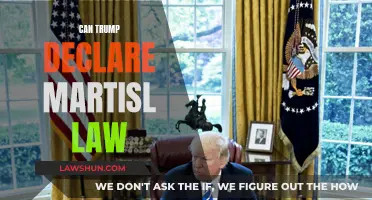 Trump's Martial Law: Is It Possible?