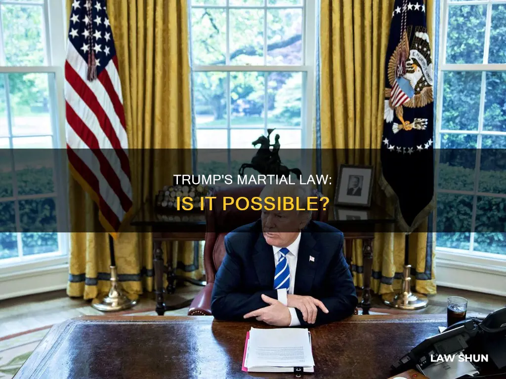 can trump declare martisl law