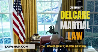Martial Law: Can Trump Declare It?