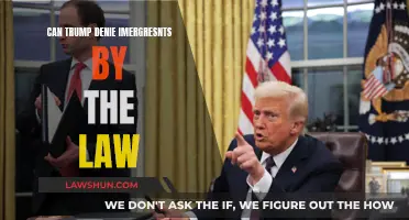 Trump's Immigration Powers: Legal or Not?
