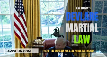 Martial Law: Can Trump Declare It?