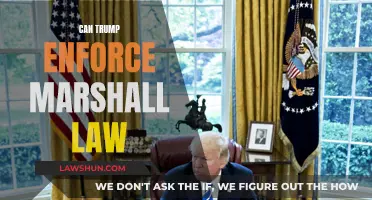 Trump's Martial Law: Could He Enforce It?