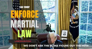 Martial Law: Can Trump Enact It?
