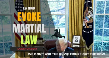 Martial Law: Can Trump Pull America That Far?