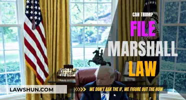Trump's Martial Law: Can He File?