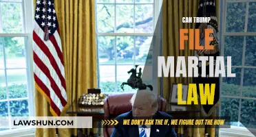 Martial Law: Can Trump File It?