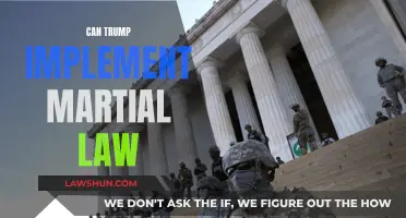 Martial Law: Could Trump Pull It Off?