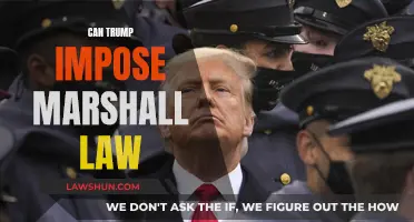 Trump's Martial Law: Is It Possible?
