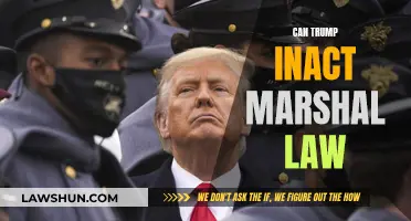 Trump's Martial Law: Can He Get Away With It?
