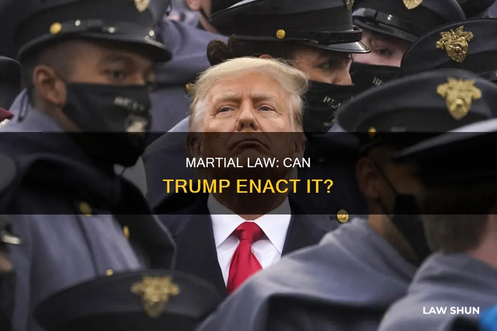 can trump inact martial law