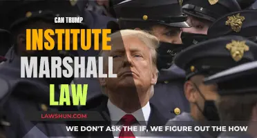 Trump's Martial Law: Is It Possible?