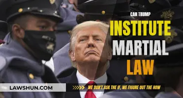 Trump's Martial Law: A Real Possibility?
