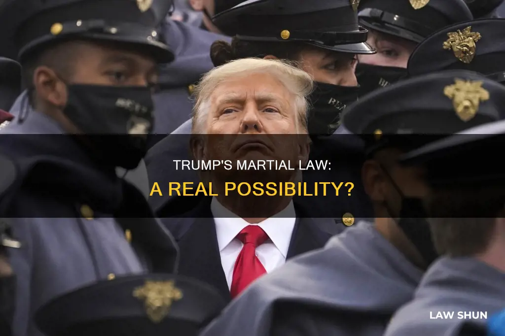 can trump institute martial law