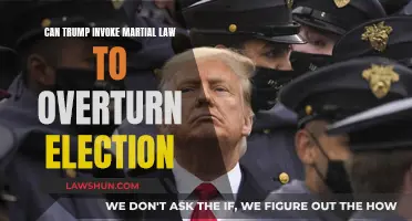 Martial Law: Trump's Election Ploy?