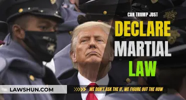 Martial Law: Can Trump Declare It?