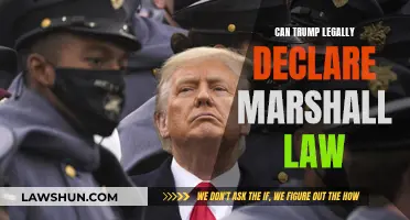 Trump's Martial Law: Legal or Lawless?