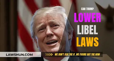 Trump's Libel Law Plans: Free Speech or Danger?