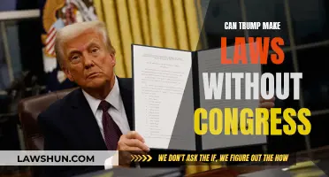 Trump's Power: Can He Make Laws Without Congress?