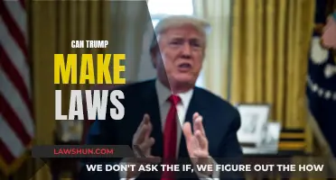 Trump's Lawmaking Powers: Can He Make Laws?